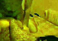 i moan asking for cocks to fuck me nicely