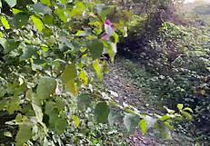 Rough Outdoor Forest Sex with Teen Girl Spanked and Pussy Fucked