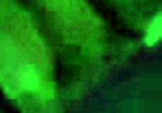 Hey, check out this beauty blonde cougar Alexia Texas getting fucked hard