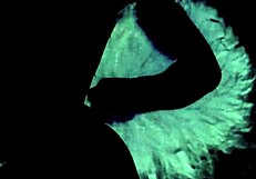 Dark Lantern Entertainment Presents Steam Age Porn Beaver Retro Vintage Blowjob Mommy Mature Fucking Pussy Milf Hairy