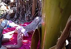 Wow! Comi a Inteada Ruivinha with Wild Sex Toy