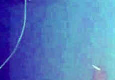 i'm fucking this sexy mexican milf pussy and creampie while smoking