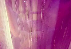 Angelminx Intense Bj Through Sheer