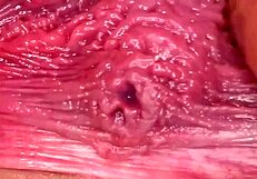 time for breeding in homemade setting