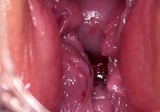 time for breeding in homemade setting