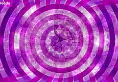 bounce sissy hypno teaser instructions