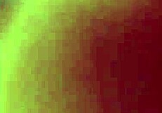 Amateur Sex Made At Home By A Milf And A Young Cock!