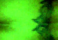 Tattooed princess captured in a casual moment