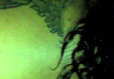 Tattooed princess captured in a casual moment