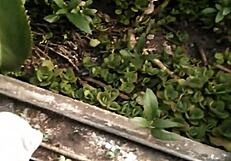 I'm So Lonely And Need Company Now!