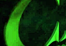 agatha mama stars in brazilian black raw x2 anal trailer