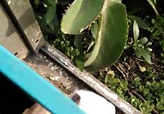 I'm So Lonely And Need Company Now!