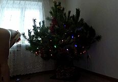 Bitch Dances Around Christmas Tree Showing Ass