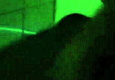 Black woman breastfeeding a young girl