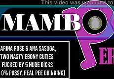 Karina Rose And Two Ebony Babes Get Fucked By Five Huge Dicks