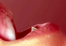 i tell japanese blowjob close up story