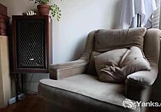 yanks jay elle playing with her vibrator