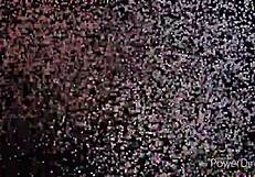 Young Teens Bent Over In Doggystyle, Showing Off Their Round Asses For Hard Fucking.