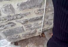 risky public flashing and pov sex with teen influencer