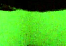 Ebony Babe Rips Clothes in Wet Striptease