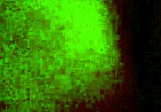 Ebony Babe Rips Clothes in Wet Striptease