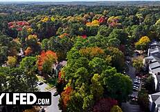 unconventional doggystyle fun with misty meaner, laya rae & nicole rae in curvy brunette ass play