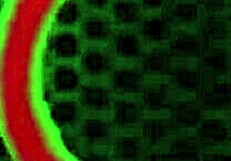 أبريل كل المؤخرات تحصل على وجه بي بي سي البداية