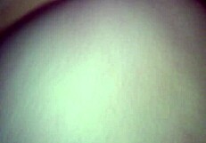 Gordibuena Sabrosa Milf