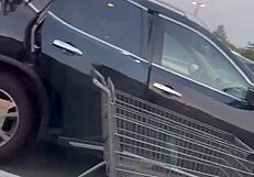 cumming hard next to a milf while shopping at whole foods.