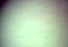 Gordibuena Sabrosa Milf