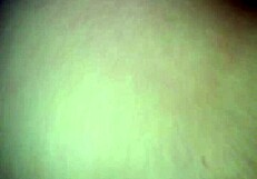 Gordibuena Sabrosa Milf