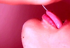 Ever Seen a Japanese Wife Suck So Close Up Until She’s Full of Cum?