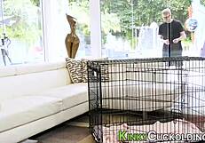 Cuckolding Milf Gets Fucked and Toyed Anal