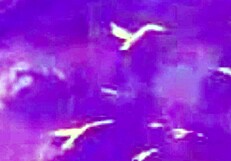 Watch me tribute Aphrodite with passion