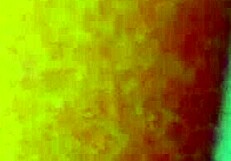 Watch me tribute Aphrodite with passion