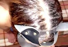 Me cojo a mi novio chupada y culeada en cuatro nuevo video