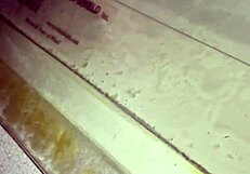 Thickdickbandit gets sucked and swallowed by bbw at interracial gloryhole