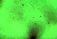 She Loves Savoring Hard Cock with Juicy Vagina, Desperately Riding