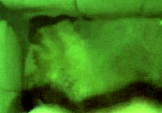 Guy with big cock slowly masturbates suggestively