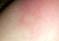 A coworker shares a quiet moment on May 30, 2015