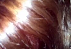 Friend Bj With Fat Redhead Bbw Big Black Cock Monster Cock