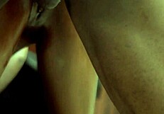 Doggy style with a naija girl on the coach