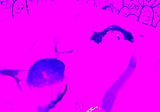 After School, Stepbrother Drills Me Hard with Big Cock. Uncensored Deepthroat and Choking Bring Massive Cumshot!