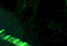 Two Moms Shop Hidden Candidly