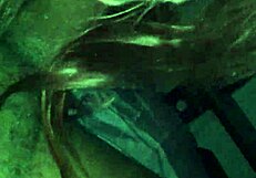 Intense Superhead Blowjob from Step Sister