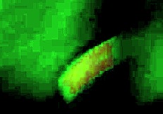 first amateur couple video