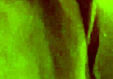 intense milf pussy orgasm contractions in amateur video