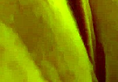 intense milf pussy orgasm contractions in amateur video