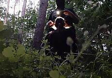 I Fuck My Stepsister’s Mouth in Woods, Hiding from Boyfriend!