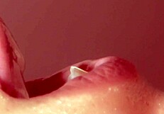 Uncensored Japanese Blowjob with Close-Up Cum Swallowing